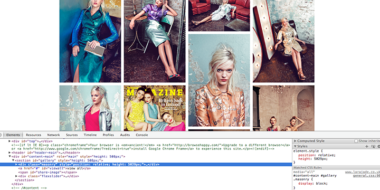 Firebug and Web Development