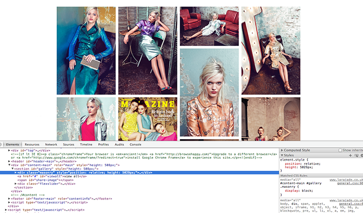 Firebug and Web Development